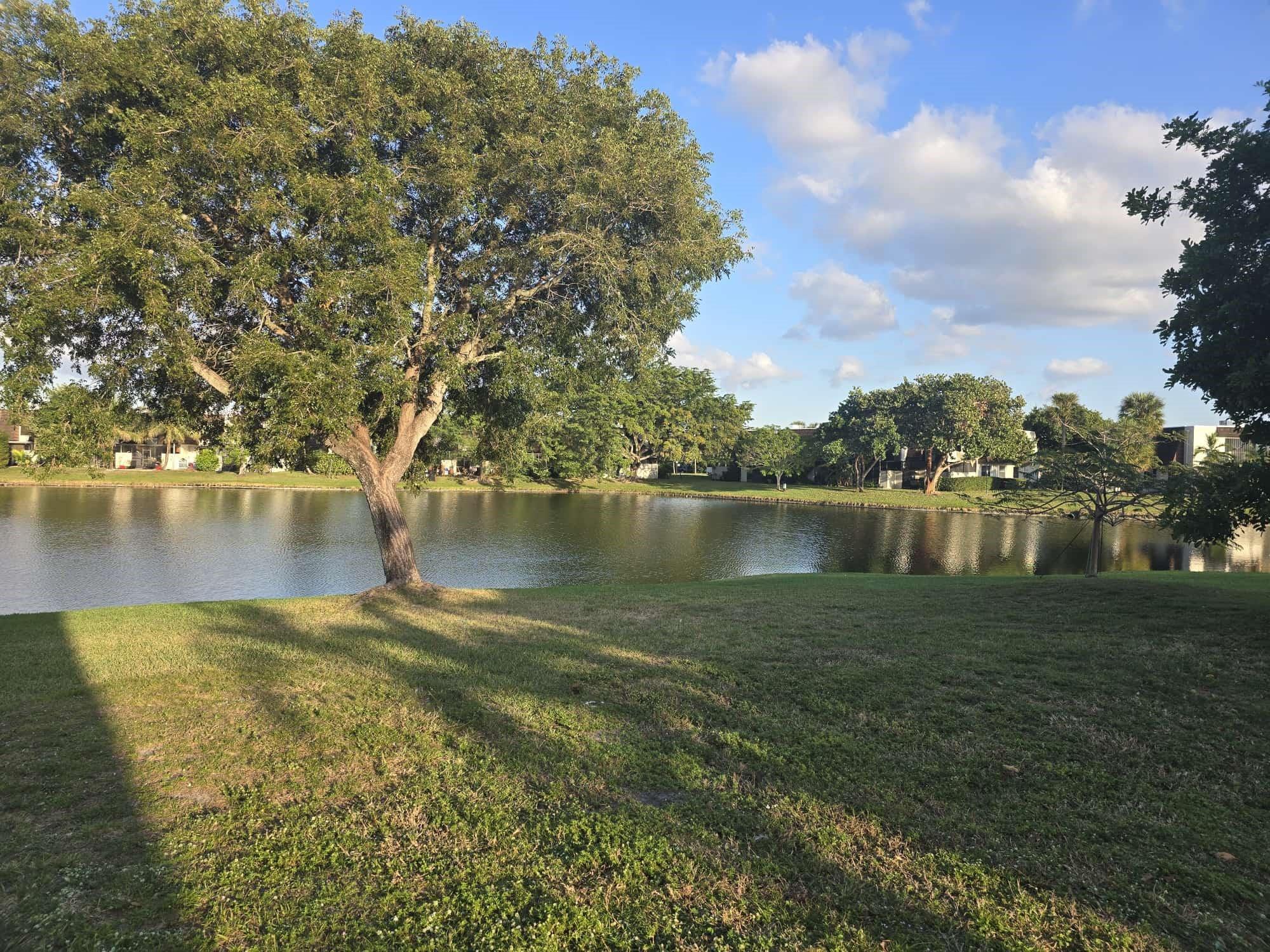 9111 Orchid Tree Ln 135