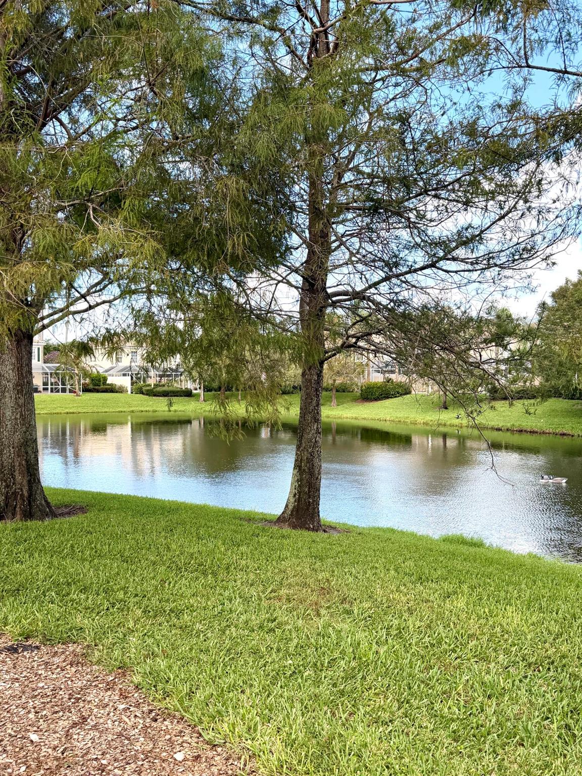 CATALINA LAKES - Residential Lease