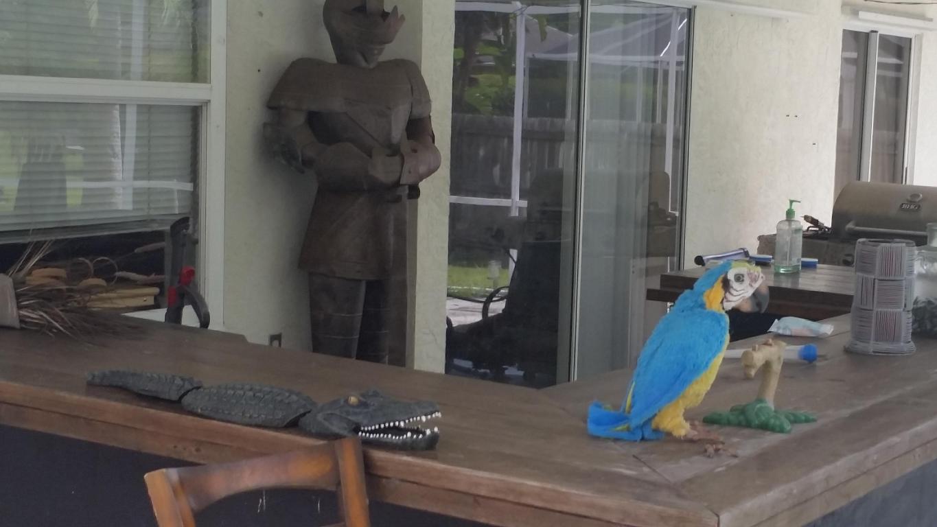 PORT ST LUCIE SECTION 43 - Residential