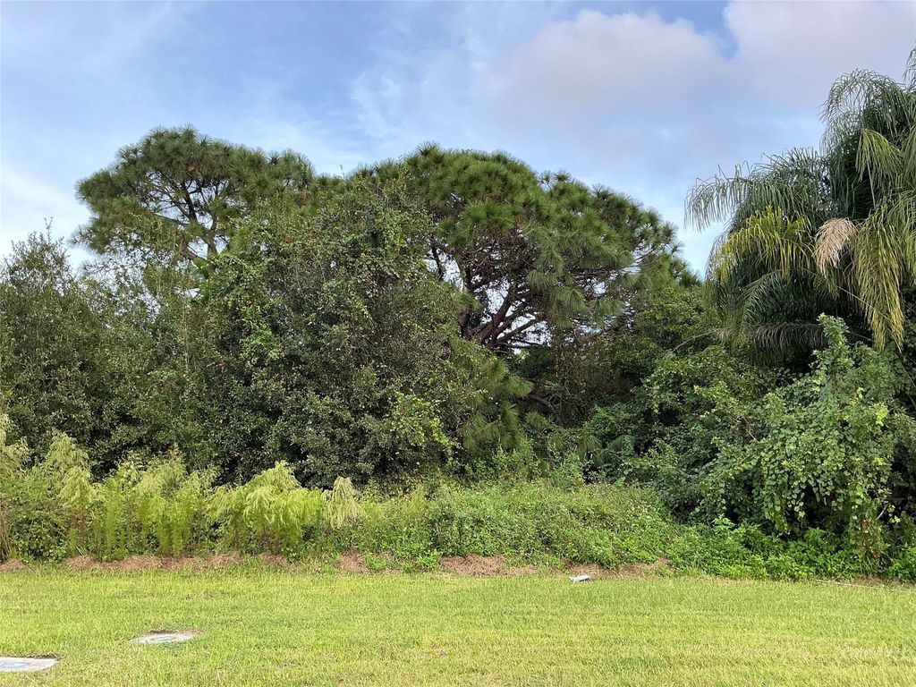 Photo of 955 George Street, Sebastian, FL 32958 (MLS # F10478490)