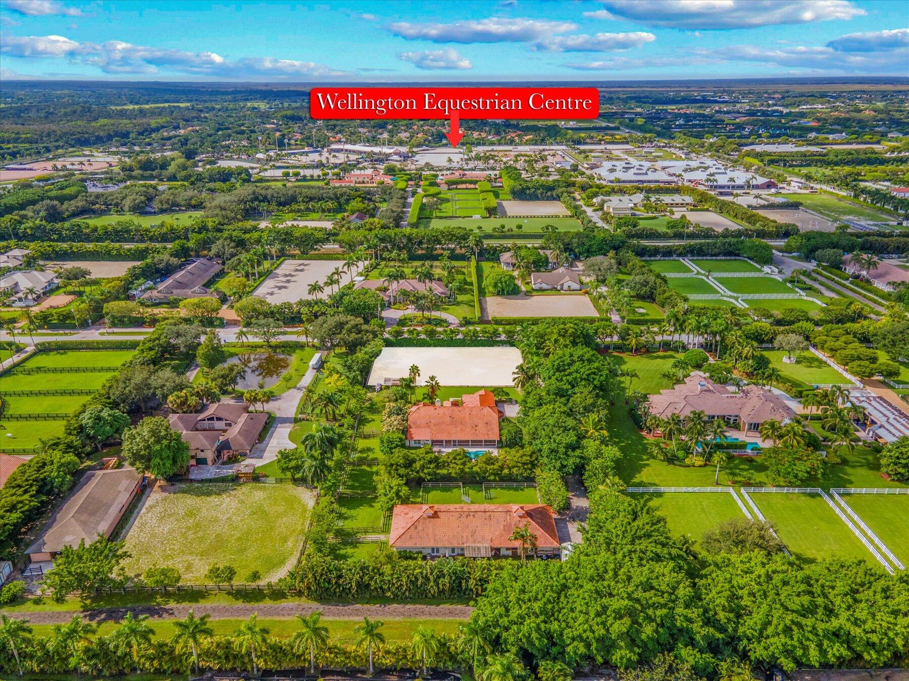 2439 Appaloosa Trail