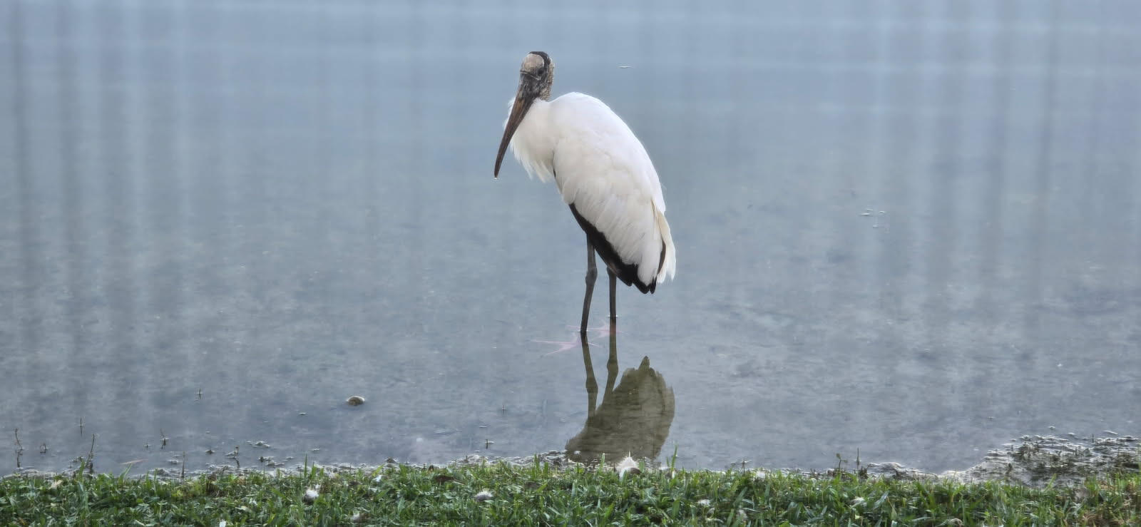 Palm Beach Plantation - Residential