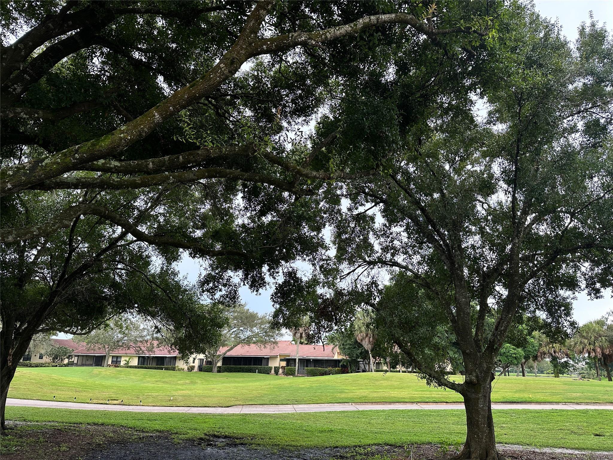 Sabal Palm Condo - Residential