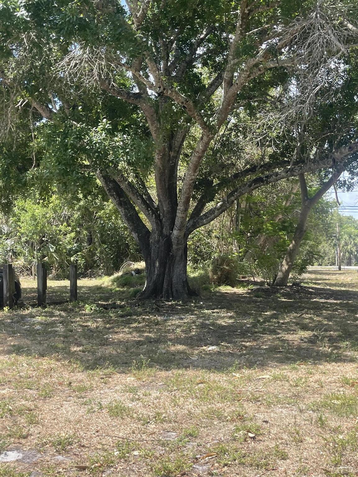 Desirable Vacant lot to build your home in growing community of Fort Pierce with 2 parcels unified to total 0.28 acres. Beautiful oak entrance to property off Behrens Road. This is an affordable, buildable lot in Fort Pierce, city water available with a brand new high school in progress under 1/2 mile away. Convenient location west of town. Close to growing St. Lucie County International airport. Minutes from beaches and proposed world renowned surf park. Don't miss this one!