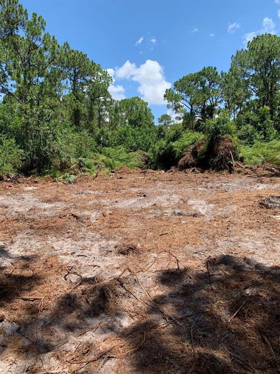 wooded, level, high and dry private quiet corner lot 6 lots East of Mandarin Blvd. generously sized well kept homes in the immediate neighborhood. (See aerial photo for more detail regarding the location) A section has been cleared to show elevation and mature trees.