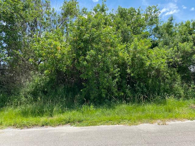 PORT ST LUCIE SECTION 21 - Land