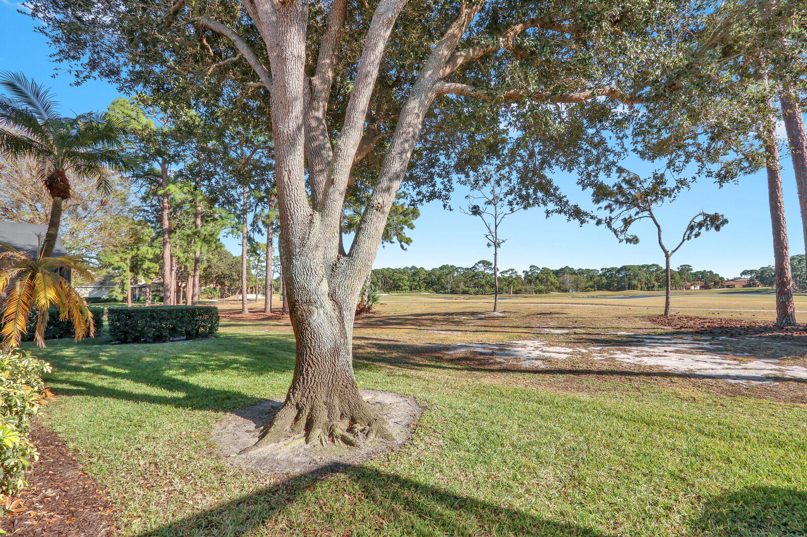 THE PINES AT THE RESERVE - Residential