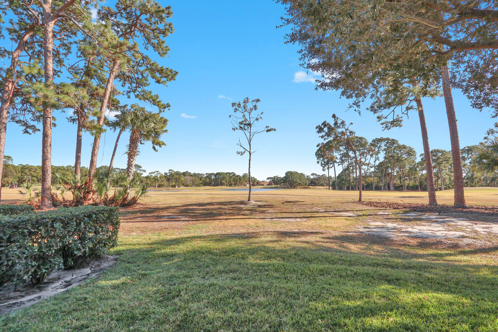 THE PINES AT THE RESERVE - Residential