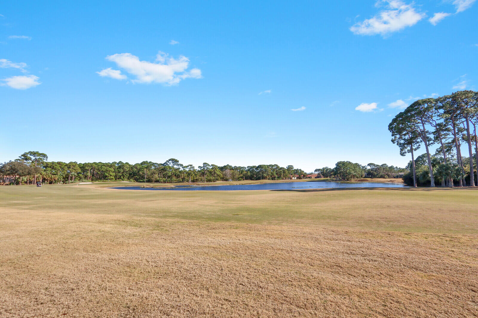 THE PINES AT THE RESERVE - Residential