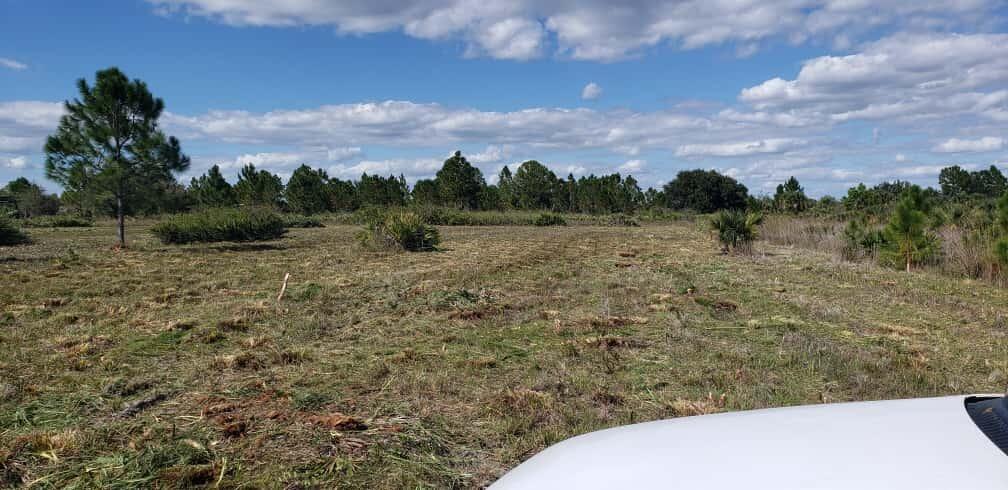 SOUTHERN COLONIZATION CO 29 - Land