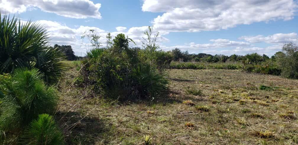 SOUTHERN COLONIZATION CO 29 - Land