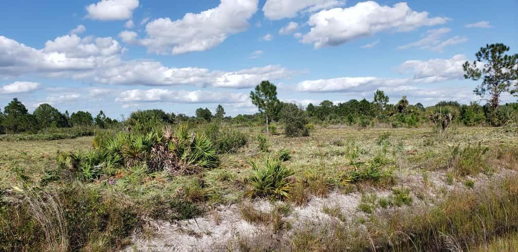 SOUTHERN COLONIZATION CO 29 - Land