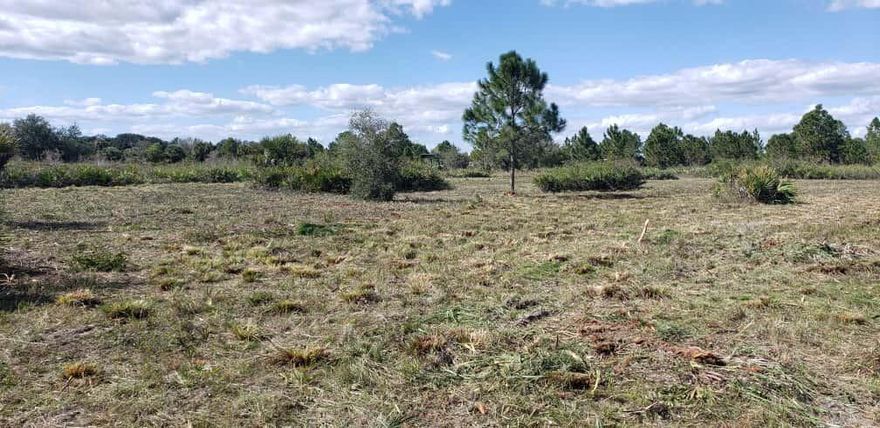 Excellent investment opportunity in the heart of Okeechobee. This spacious lot offers the perfect setting to build your dream property, surrounded by peace and a charming rural atmosphere . Ideal for new construction, a private retreat, or long-term investment. Conveniently