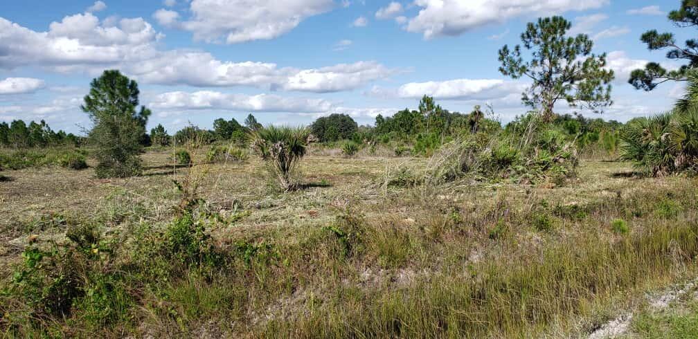 SOUTHERN COLONIZATION CO 29 - Land