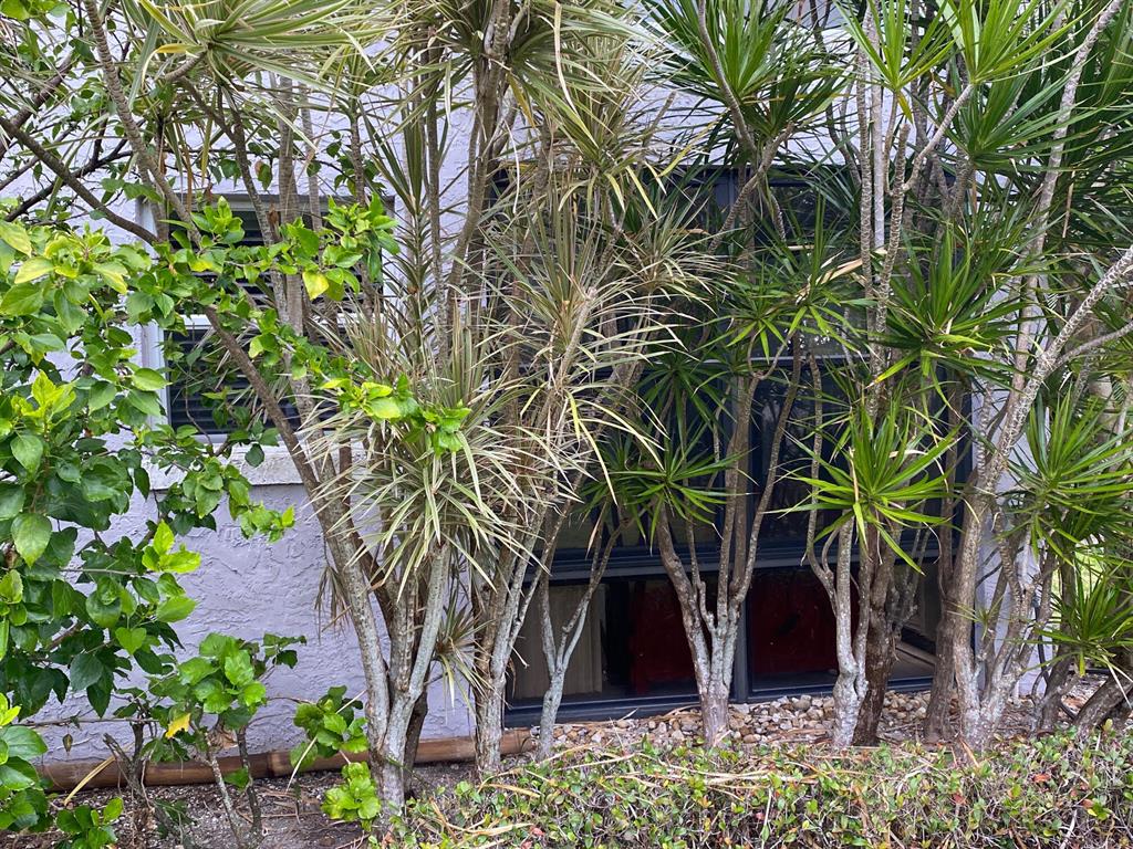 Colonnades - Residential