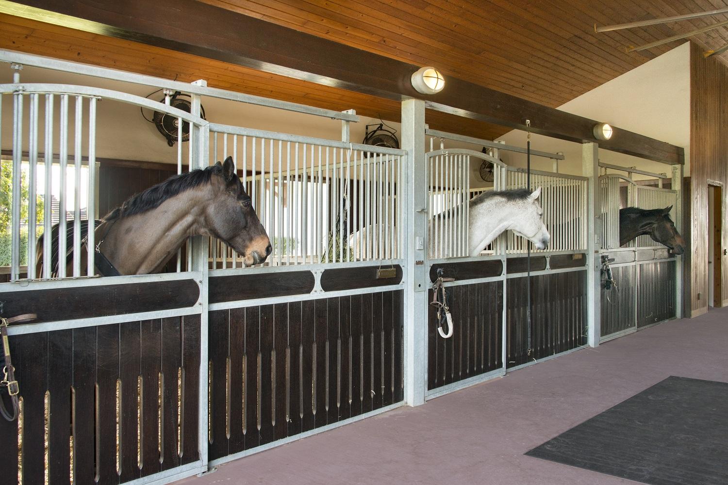 LAS PALMAS EQUESTRIAN - Residential