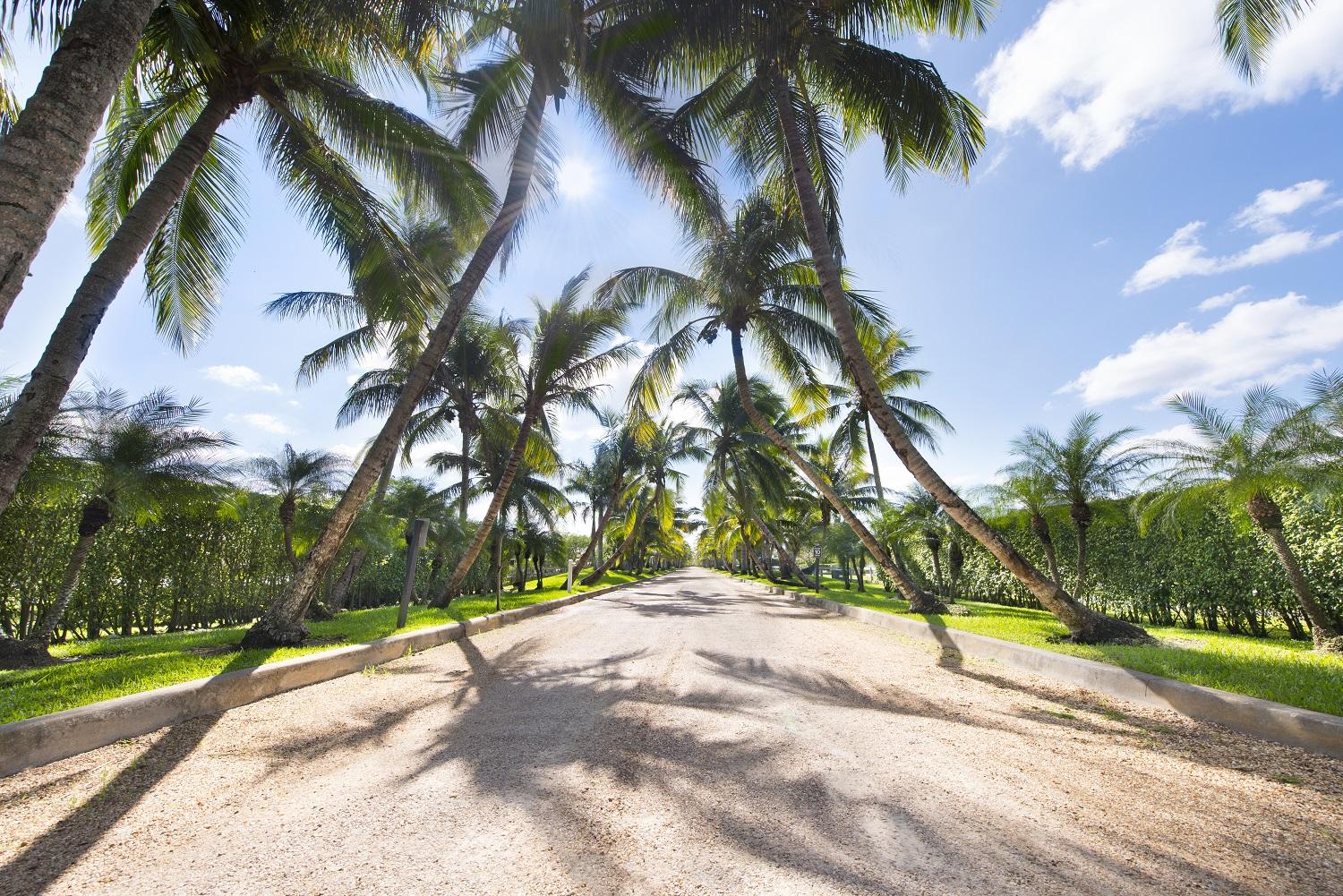 LAS PALMAS EQUESTRIAN - Residential