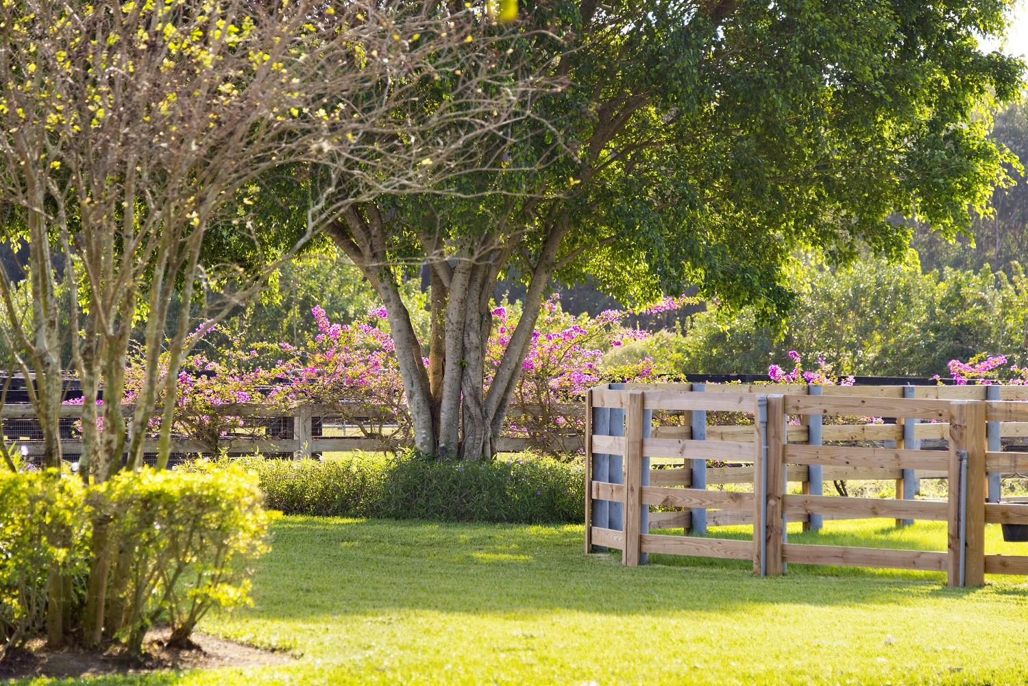 LAS PALMAS EQUESTRIAN - Residential