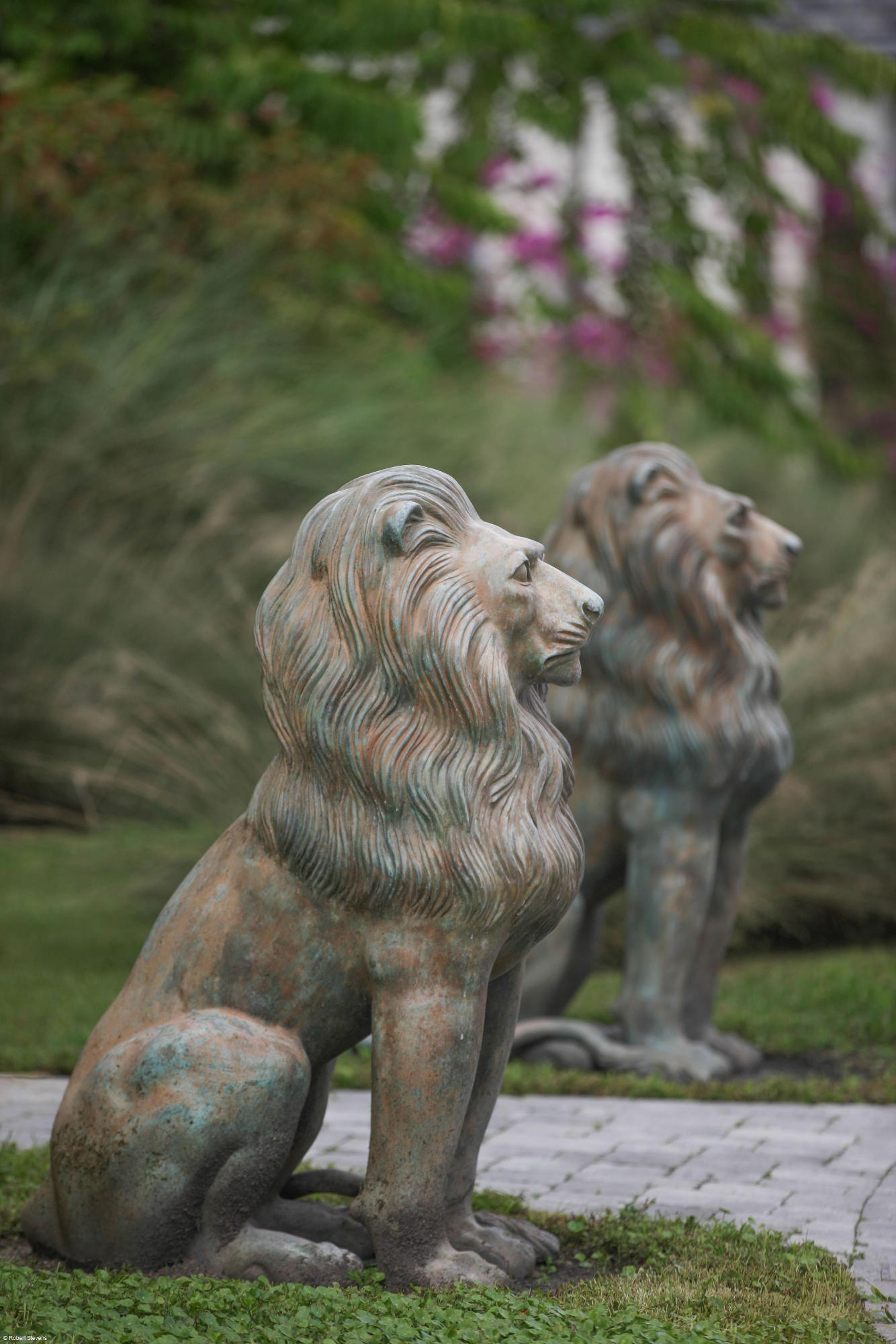 LAS PALMAS EQUESTRIAN - Residential