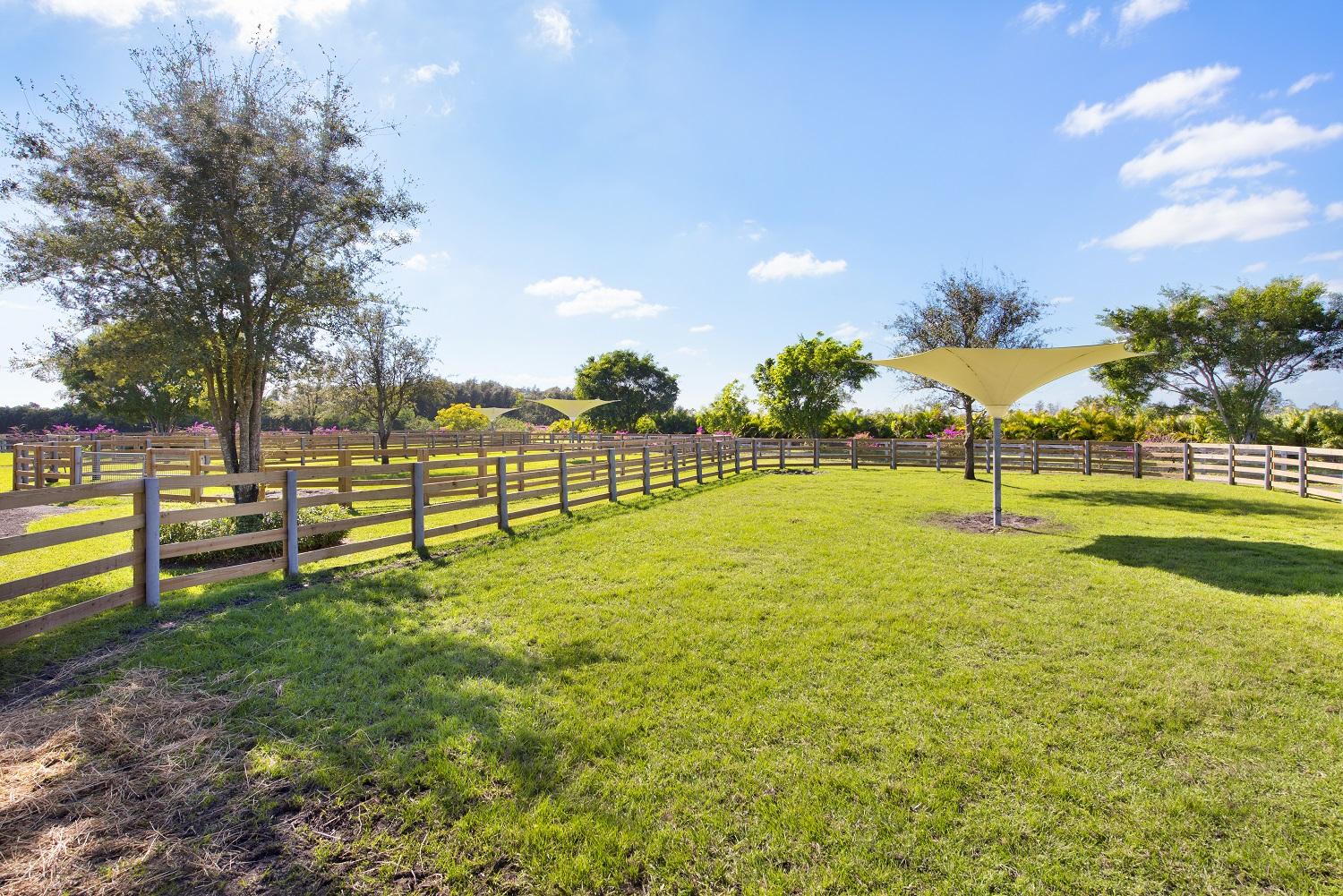 LAS PALMAS EQUESTRIAN - Residential