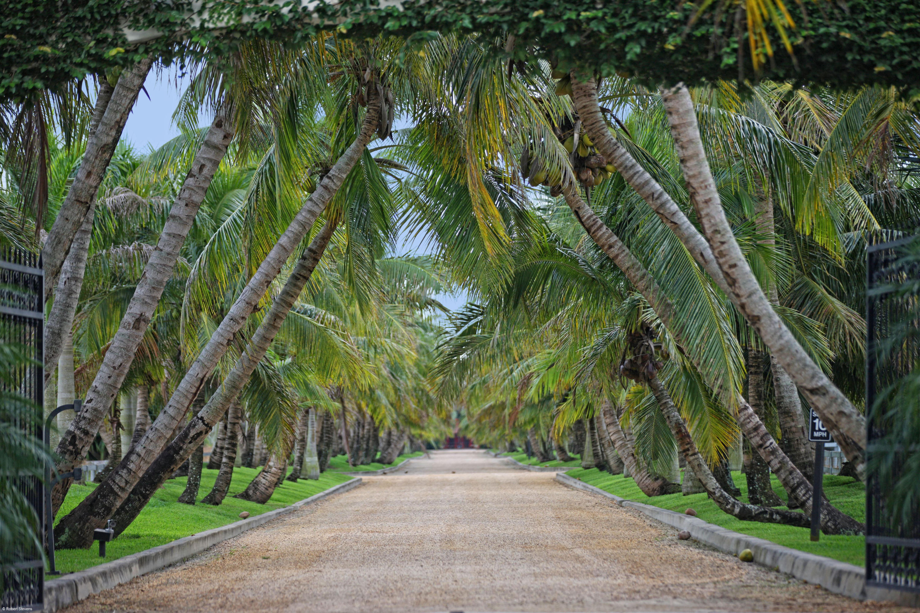 LAS PALMAS EQUESTRIAN - Residential
