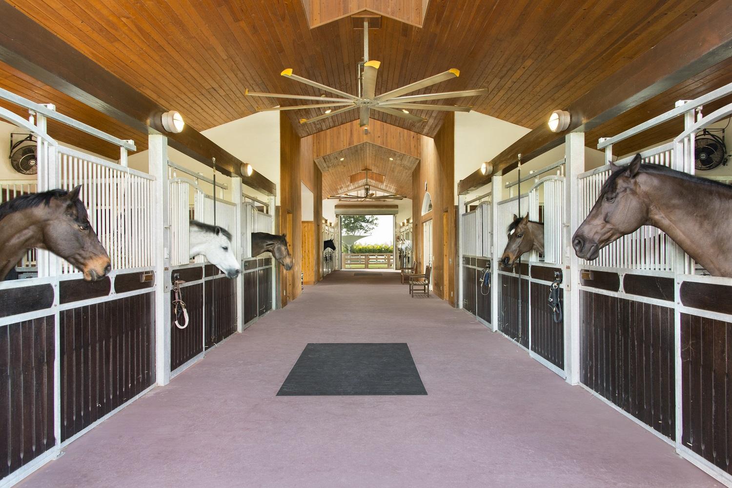 LAS PALMAS EQUESTRIAN - Residential