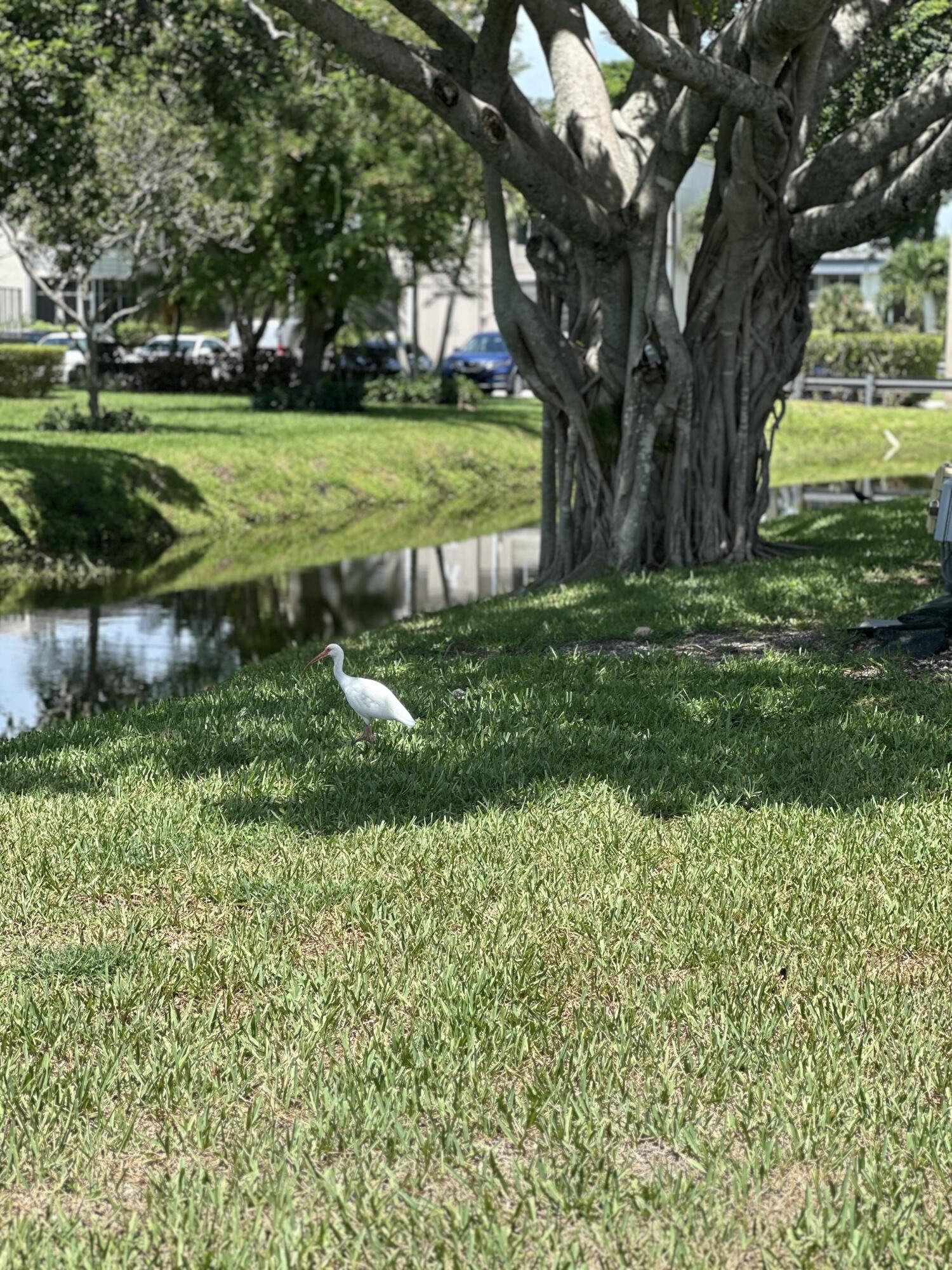 KINGS POINT BURGUNDY CONDOS - Residential