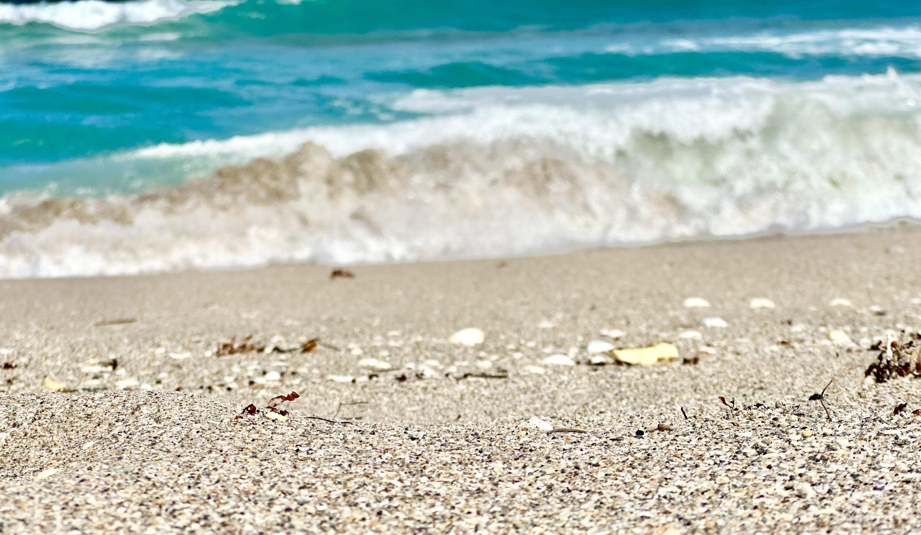 DUNES CONDO - Residential