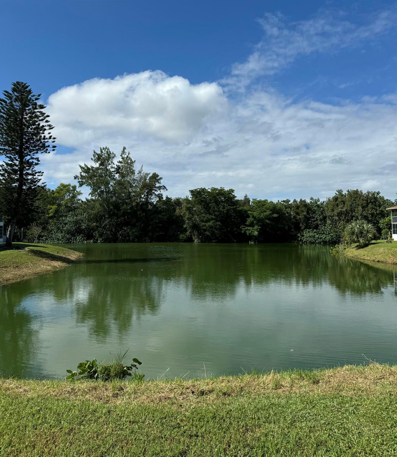 NORTHAMPTON CONDOS - Residential Lease