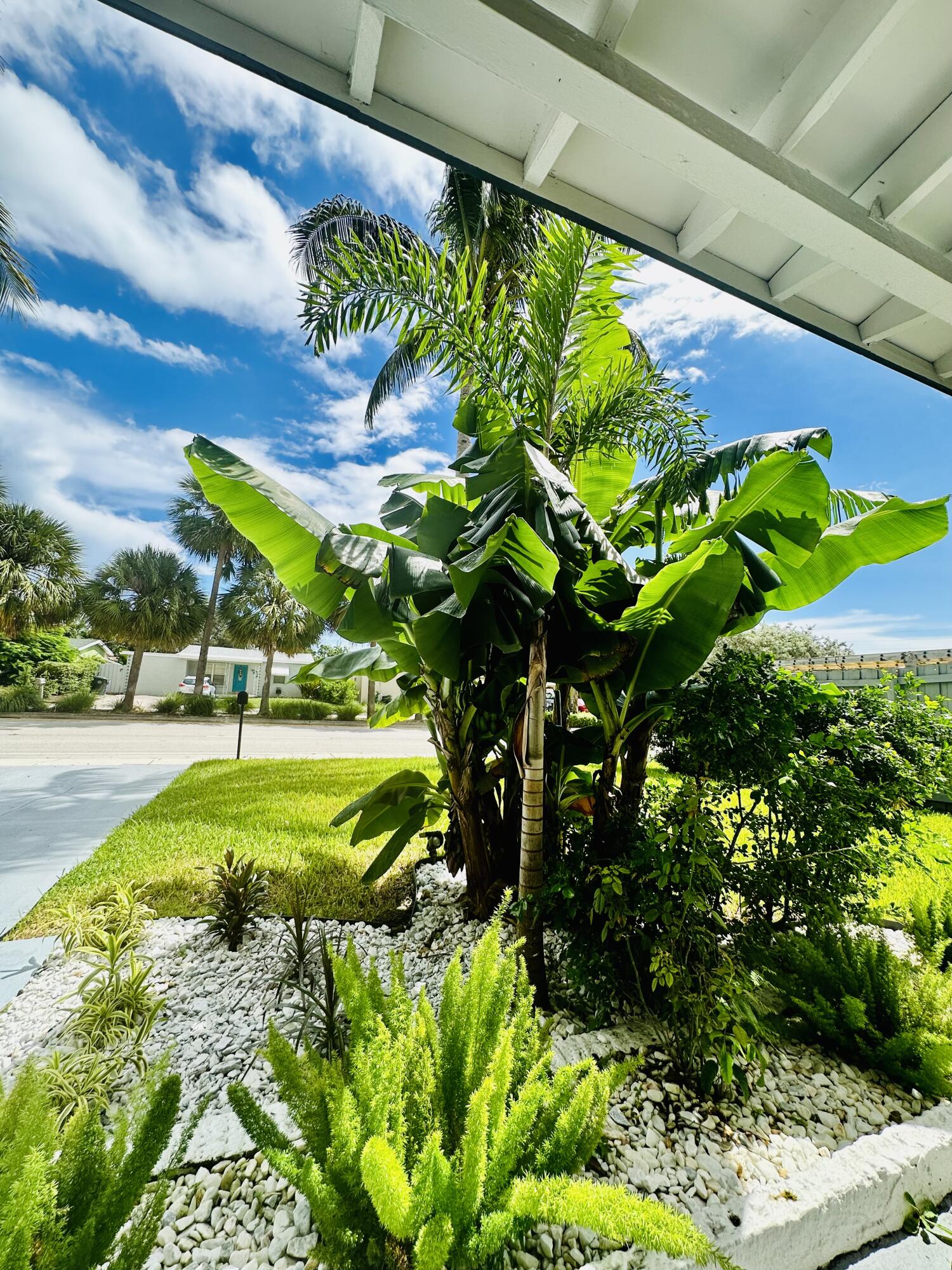 NORTH ANDREWS TERRACE FIRST ADD - Residential Lease