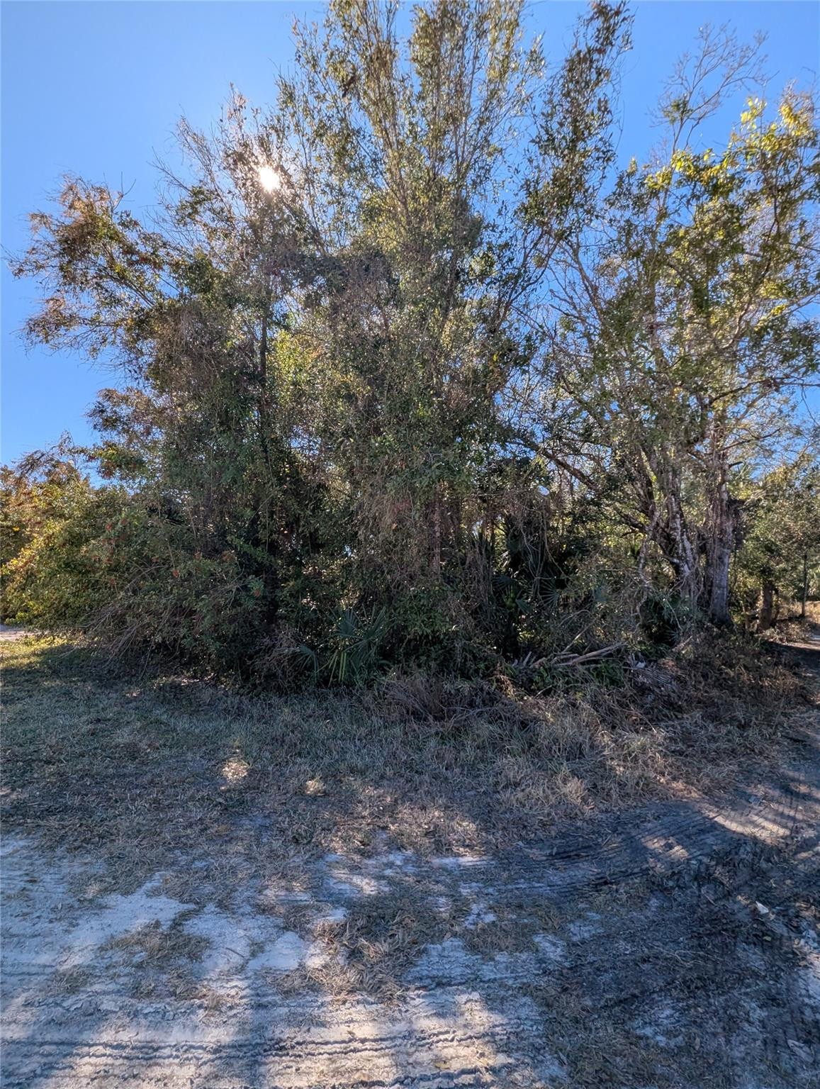 VERO LAKES ESTATES - Land