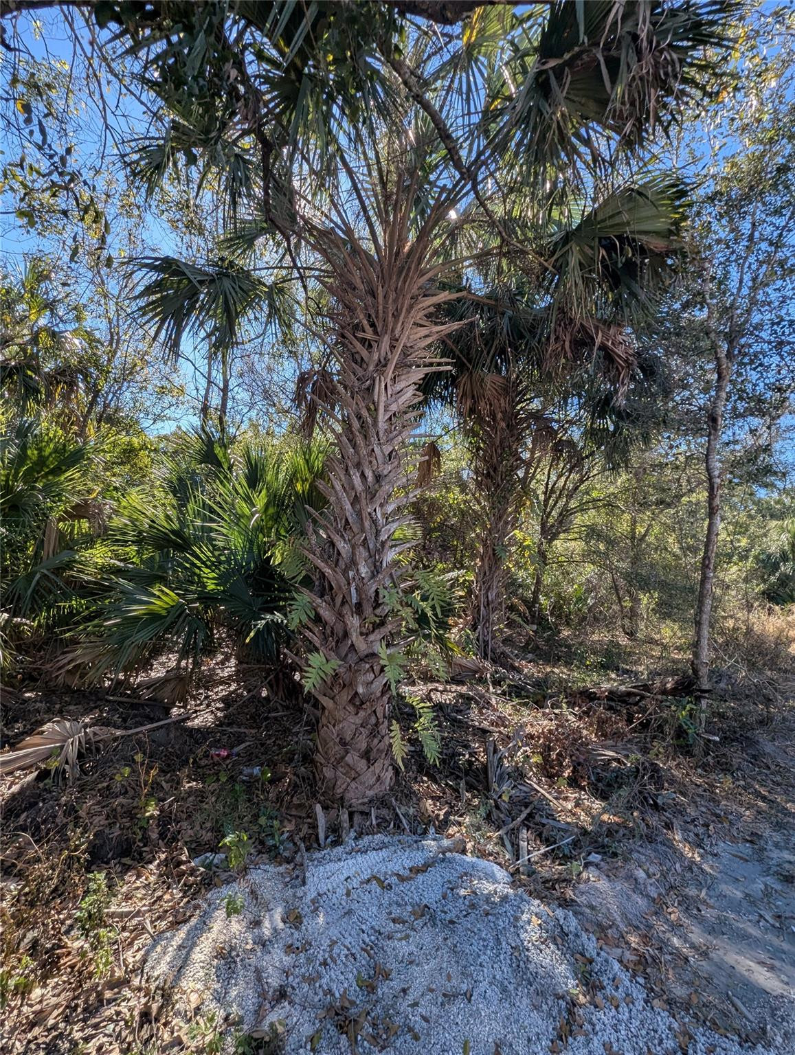 VERO LAKES ESTATES - Land