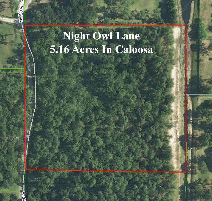 Excellent Location In Caloosa! This lot is a premium property and is very squared off for maximum privacy for your home. Left with natural vegetation so that you can keep the privacy or clear it to your personal preferences for your custom home. Only a few lots remain in Caloosa and very very few have premium locations like this one so better act quickly.