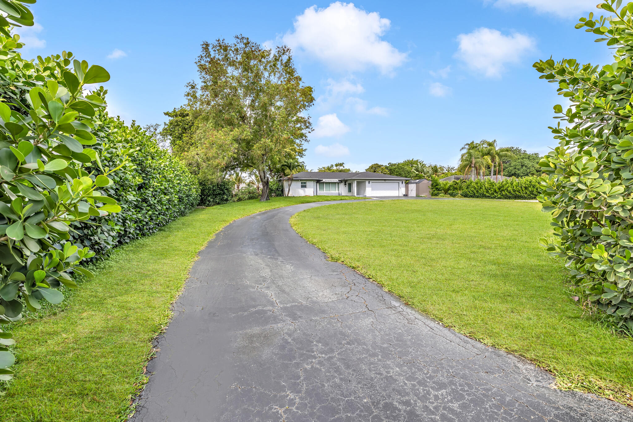 Pine Tree Estates - Residential