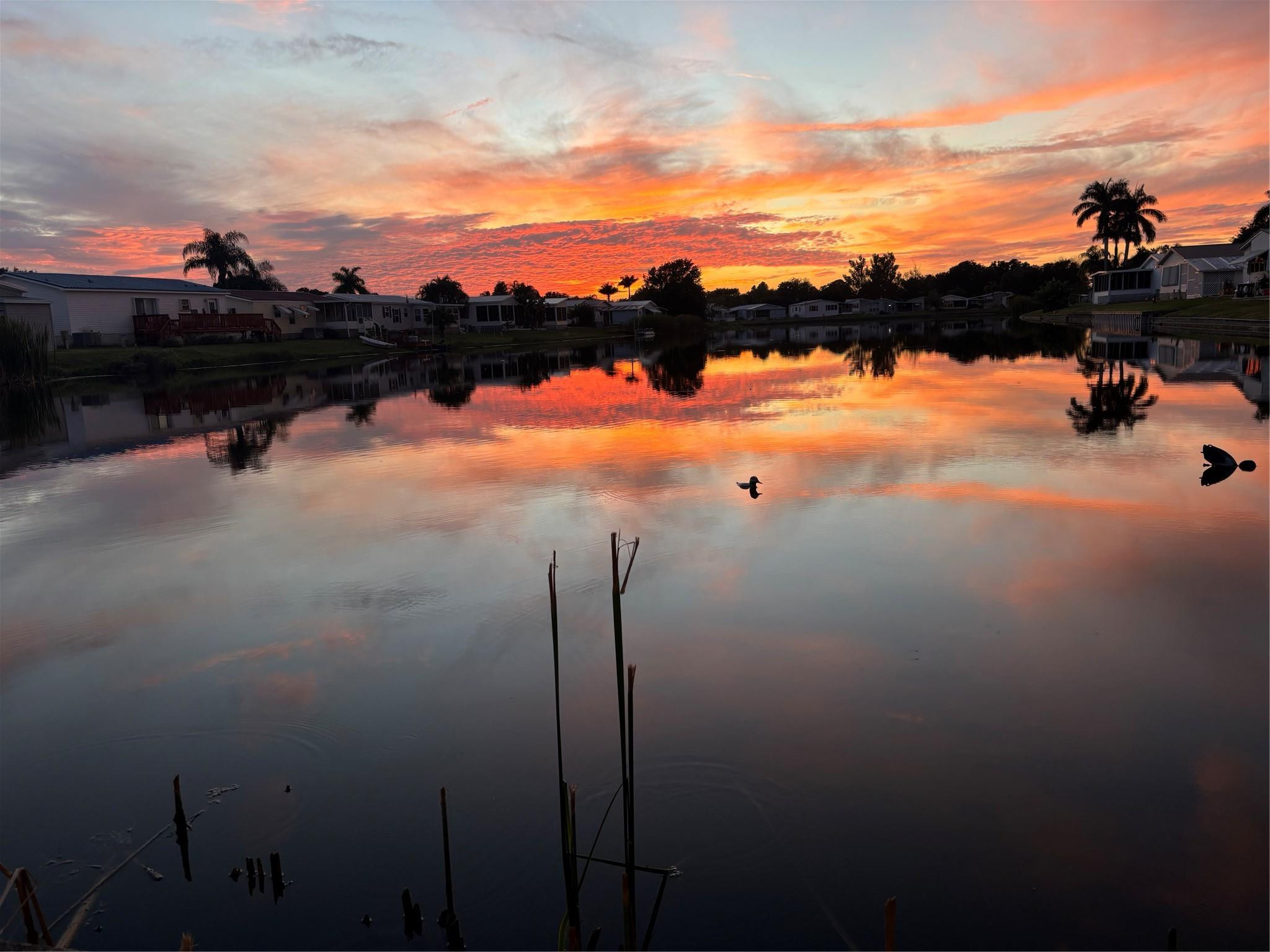 Seminole Cove - Residential