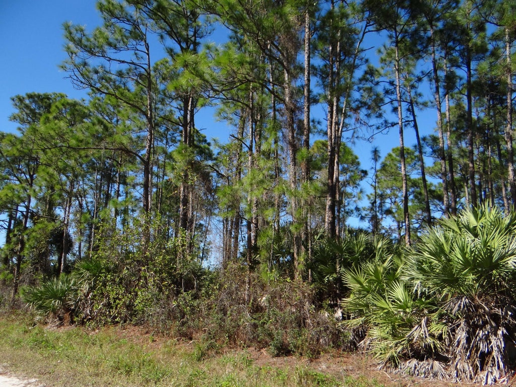 Photo of 28 N 67 Court N, The Acreage, FL 33470 (MLS # B26071435)