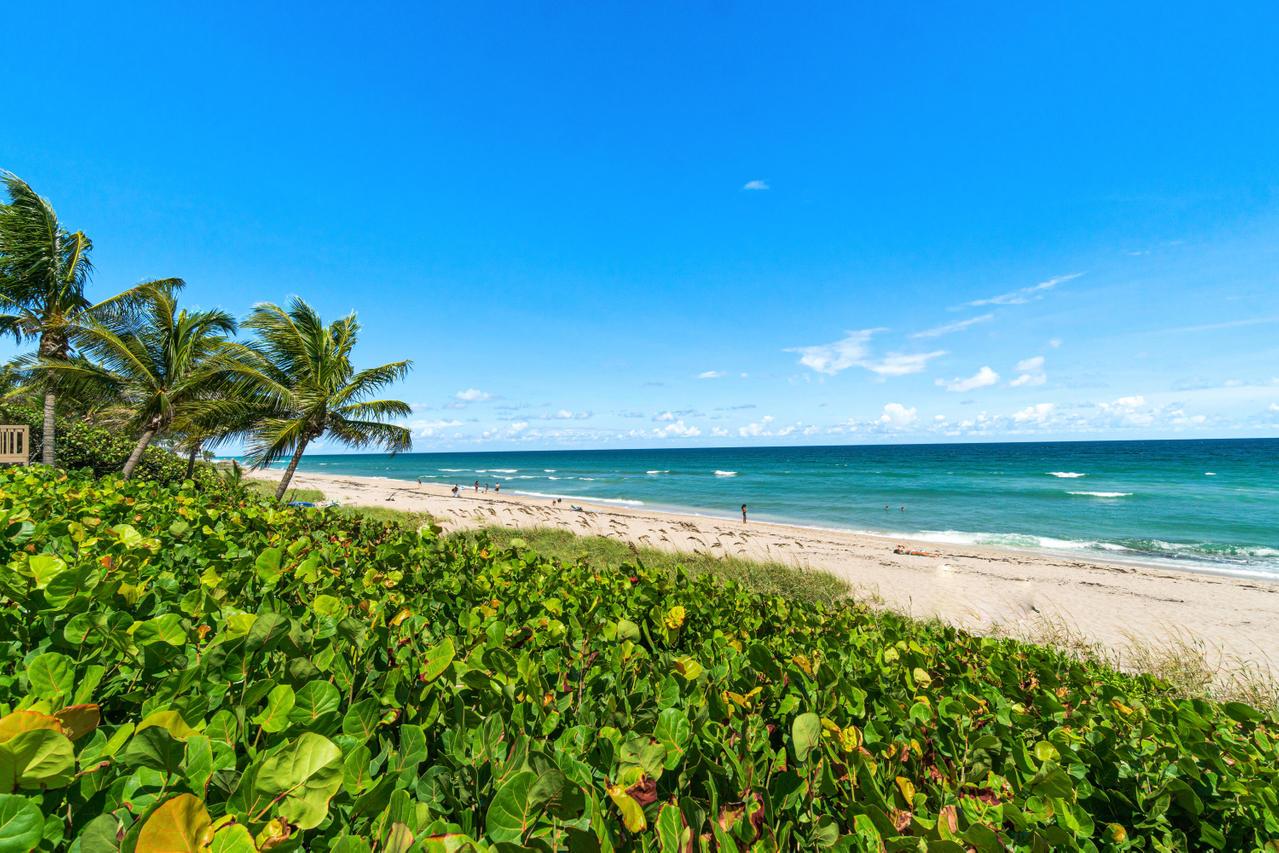 PELICAN BEACH CONDO - Residential