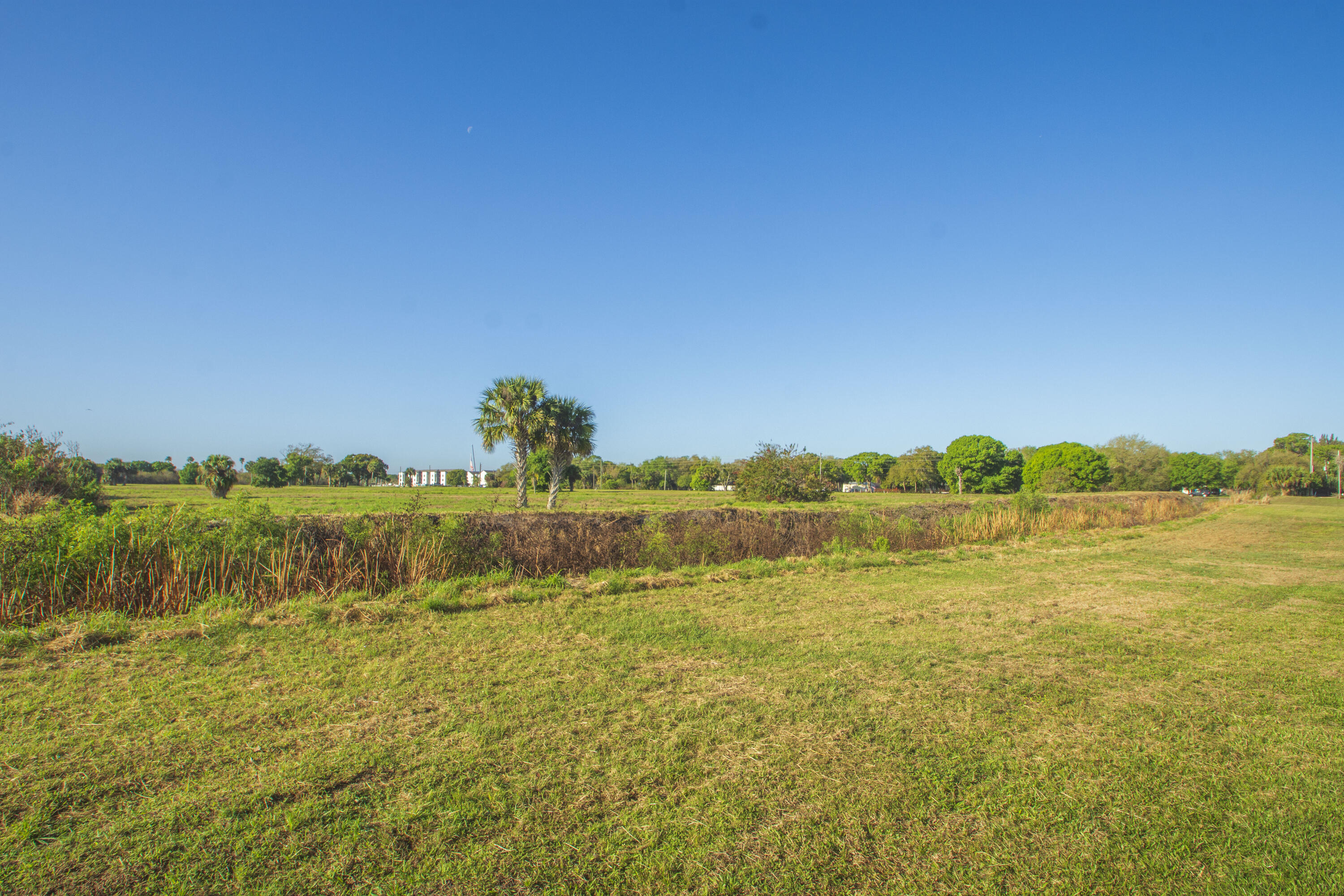 CELEBRATION POINTE - Residential