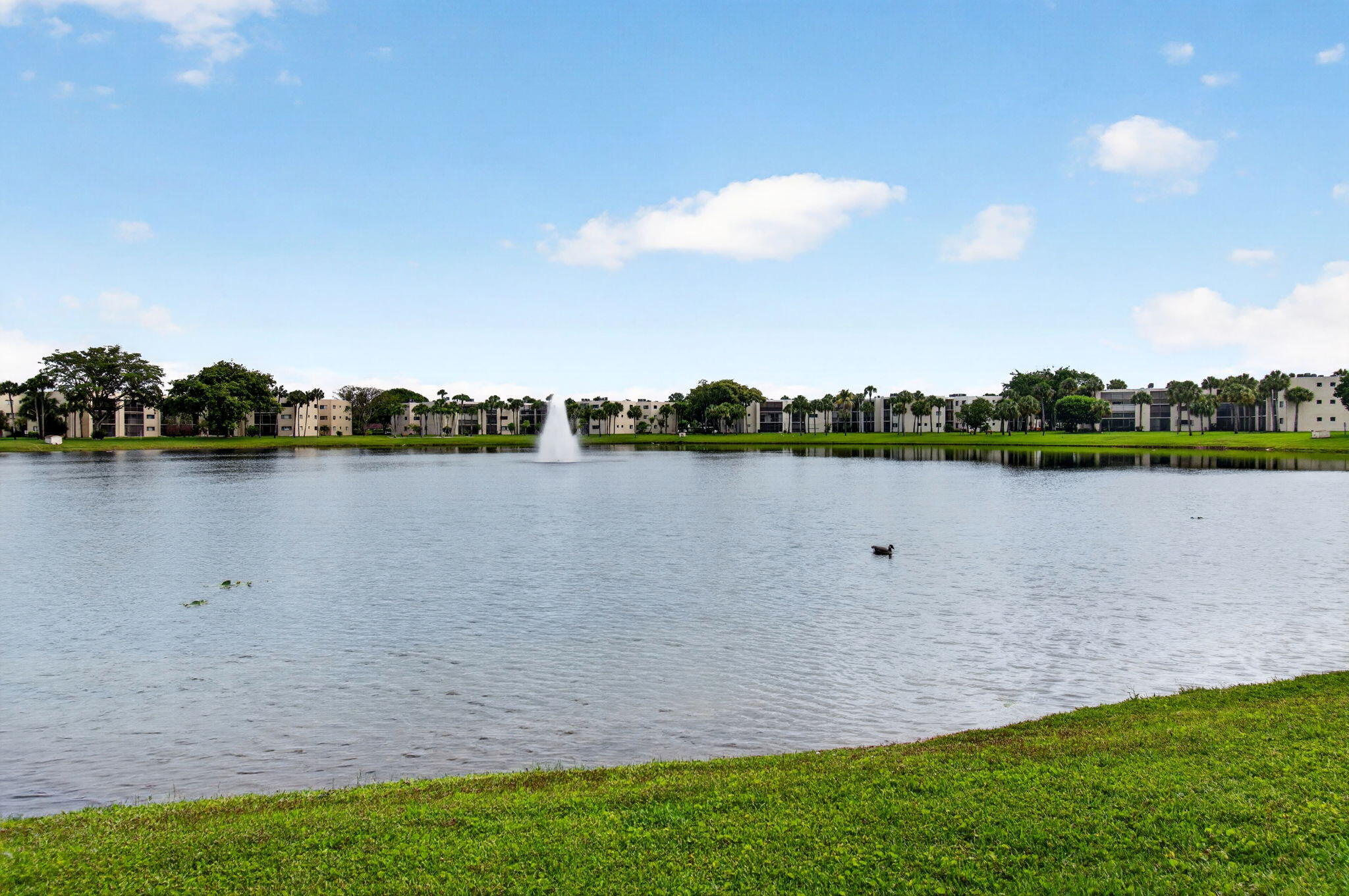 COCONUT PALM CONDO - Residential