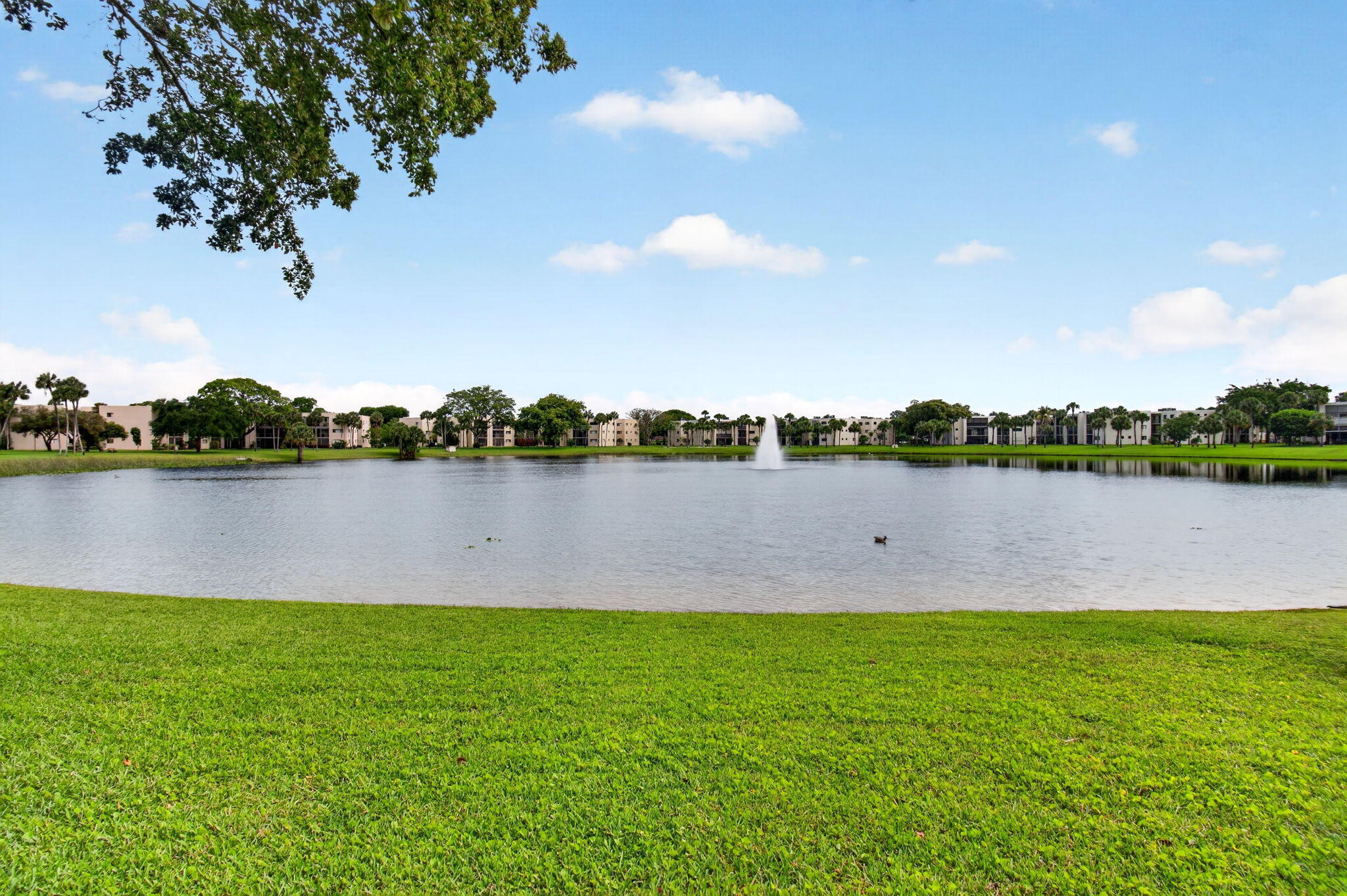 COCONUT PALM CONDO - Residential