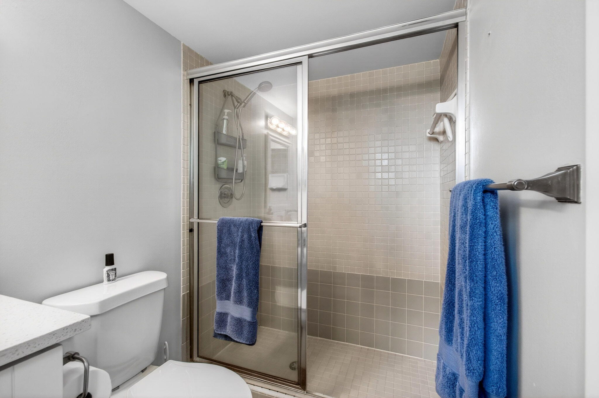 COCONUT PALM CONDO - Residential