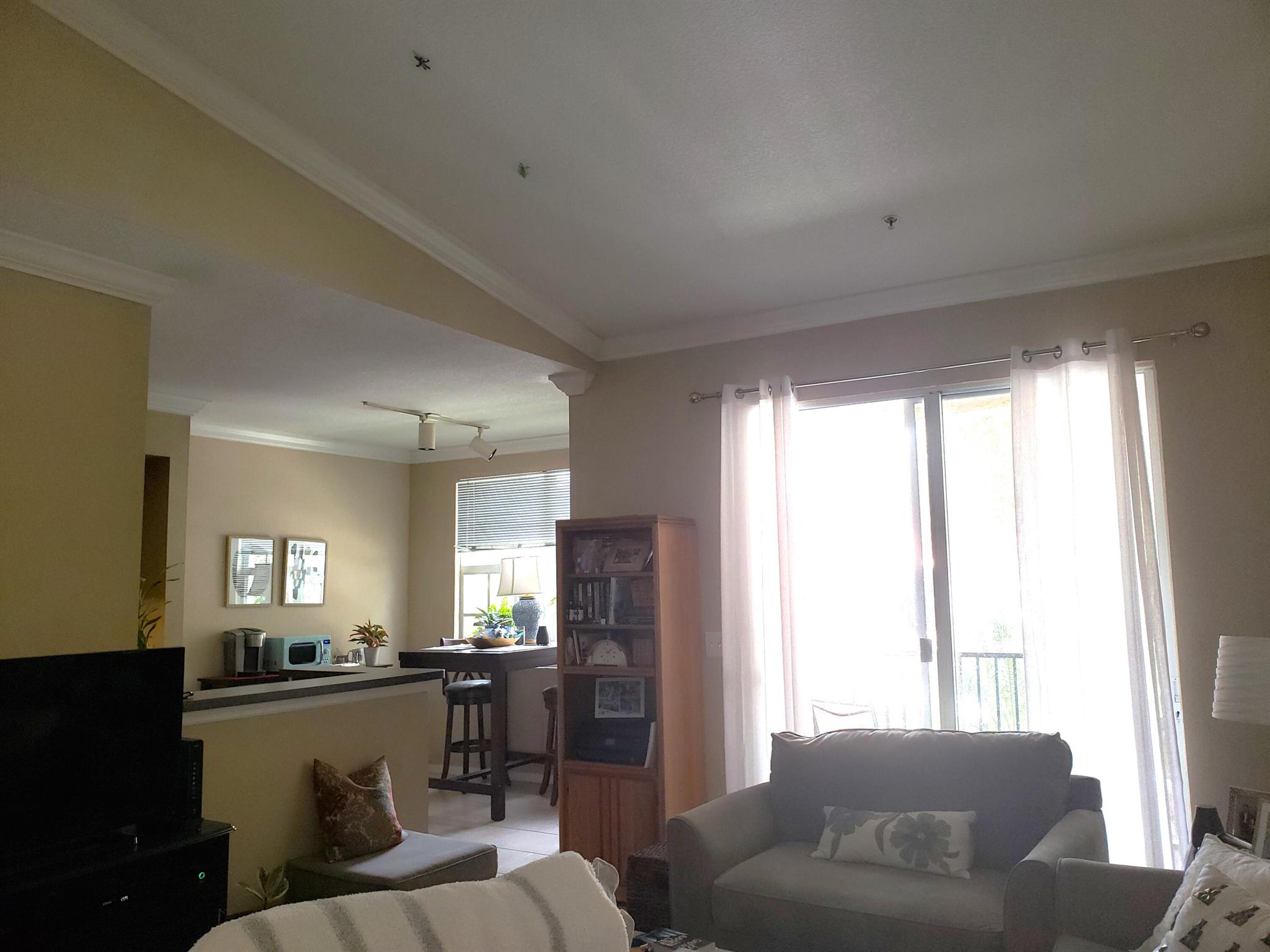 15145 Michelangelo Boulevard 203