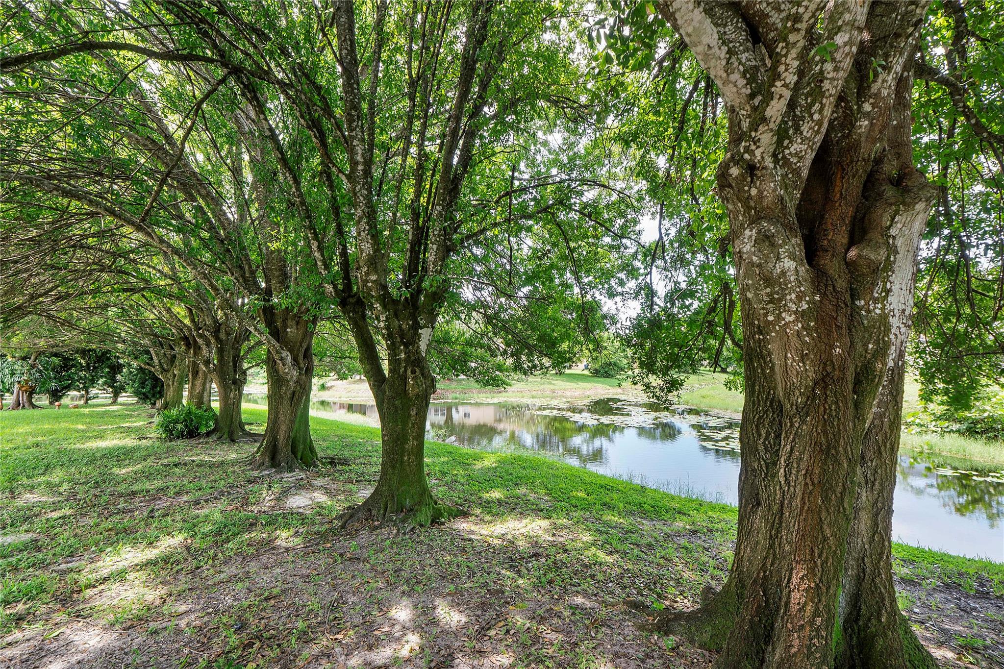 The Clusters - Residential