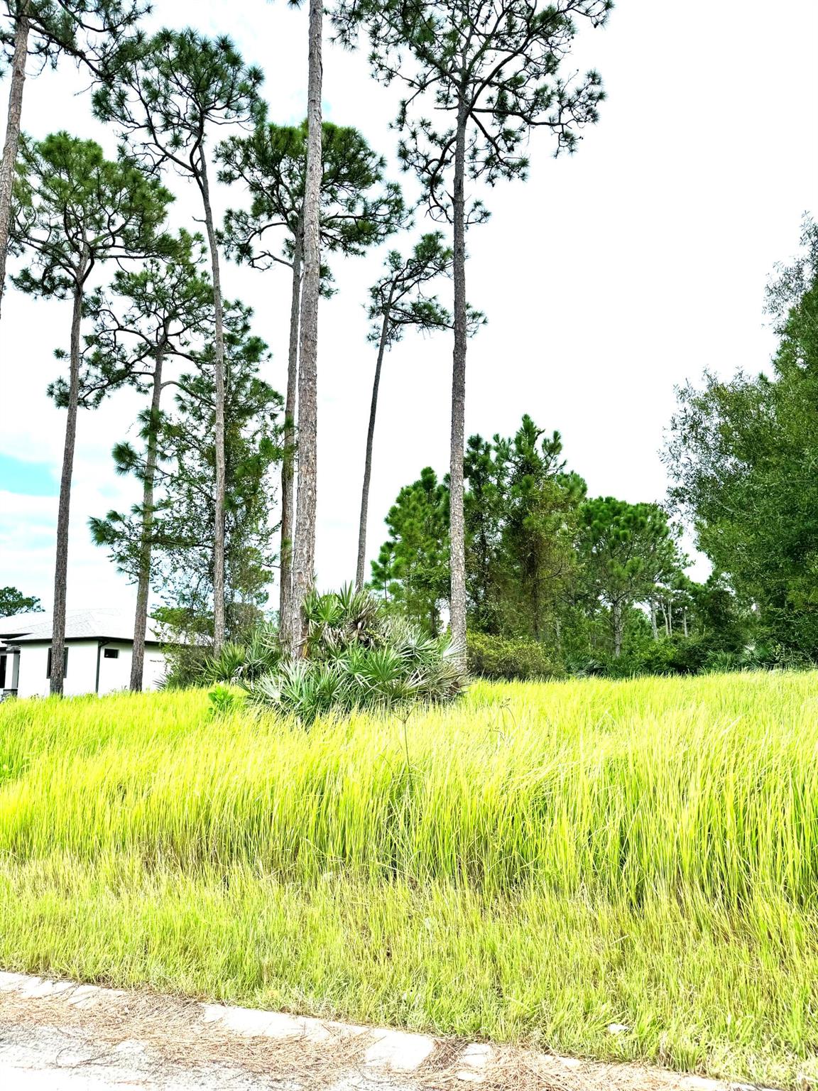 Prime vacant lot in the heart of Ft. Pierce, one of the last available in Phase II of the downtown revitalization area. This quiet, spacious property is perfect for building your dream home, with drafted home plans and approved septic system plans already in place. Ample space for RVs and boats adds to the appeal of this rare find. Located in a peaceful neighborhood, this lot offers the ideal balance of residential living and proximity to the vibrant city center. Don't miss this opportunity to build in a growing community!
