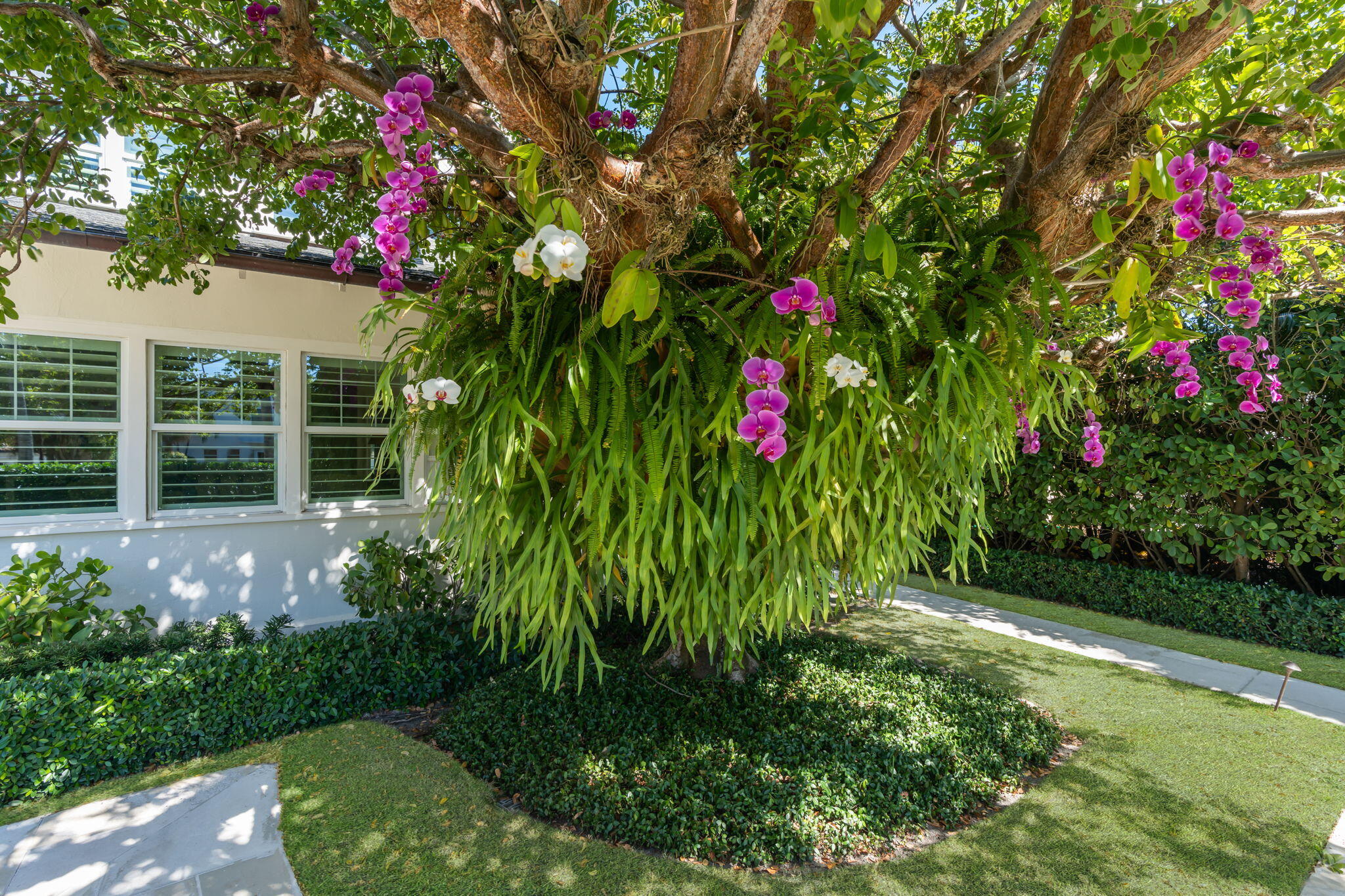 ROYAL PARK - Residential