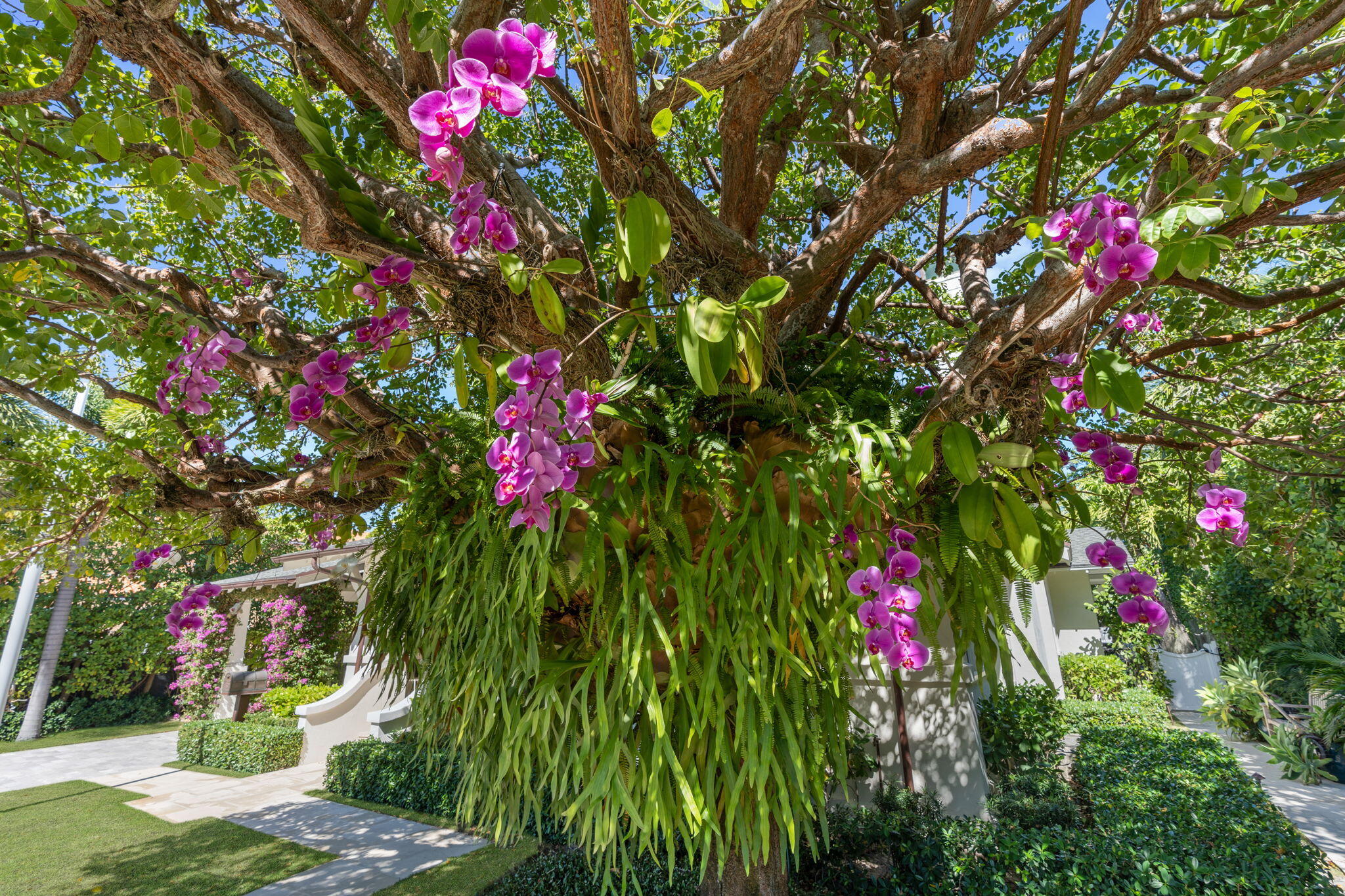 ROYAL PARK - Residential