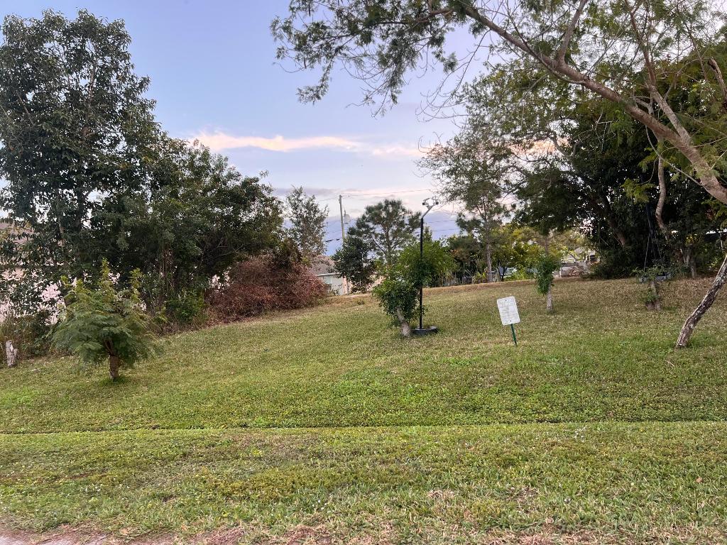 PORT ST LUCIE SECTION 33 - Land