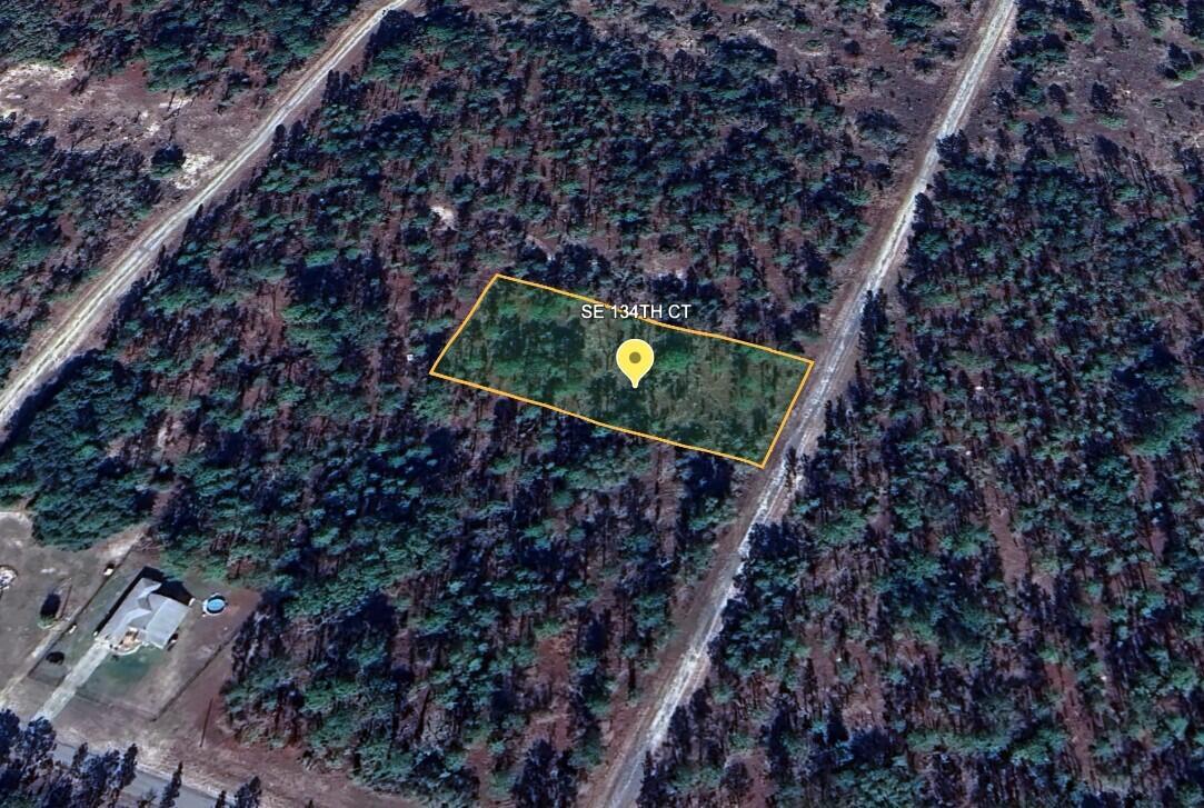 Build your dream house on this beautiful 1-acre lot in desirable Rainbow Lakes Estates in Dunnellon with No HOA and NOT in a flood zone. New and existing homes already in the area waiting for your home to be built. Quiet neighborhood but minutes from shopping, doctors' office, and restaurants in historic Dunnellon. The property is minutes from Rainbow Springs State Park where you can swim, snorkel, kayak, hike on nature trails, and bike ride. Lake Rousseau is nearby which is known for their bass. Private boat ramp available for the community. Not far from The New world Equestrian Center. Only 20 minutes to Crystal River & Gulf of Mexico, Inverness, and Ocala. This lot is listed below market value!
