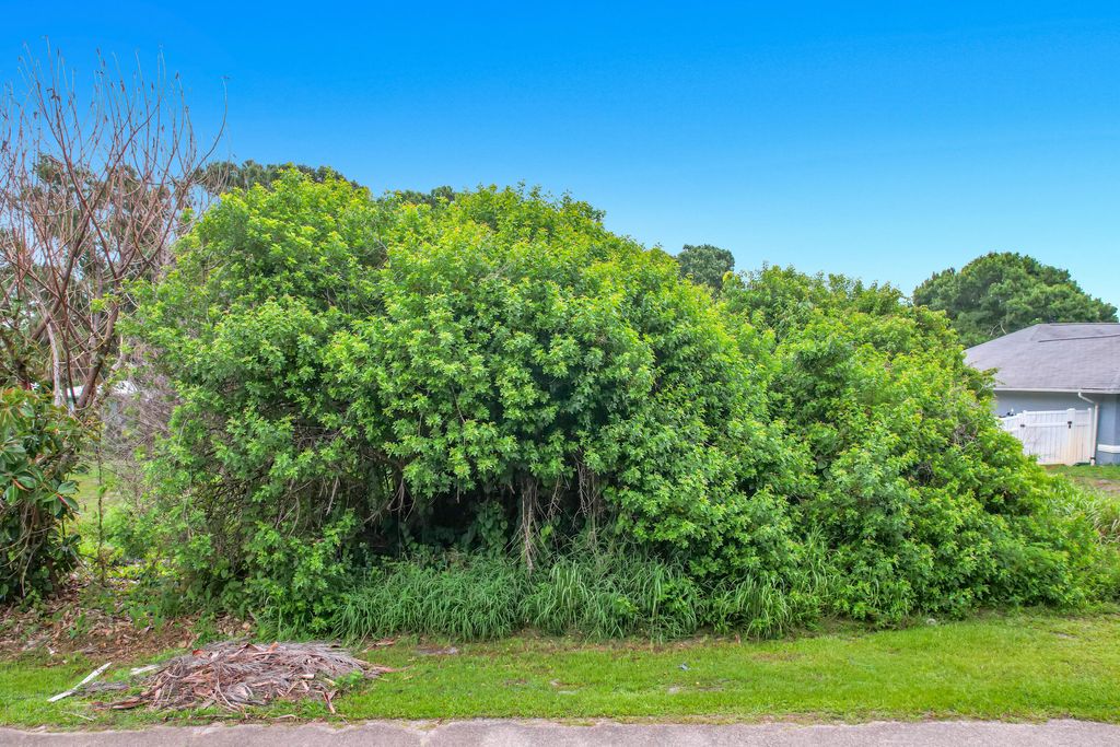 Photo of 1510 Emerson Lane, Sebastian, FL 32958 (MLS # B26035358)