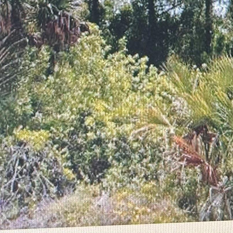 Vacant residential land 1/2 acre in up and coming Lehigh Acres. Build your dream home on this exquisite piece of property that's priced right and awaiting only your finishing touches or as an investment for the future.